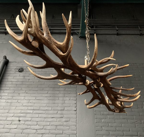 Elongated antler lamp made of red deer antlers