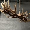 Elongated antler lamp made of red deer antlers