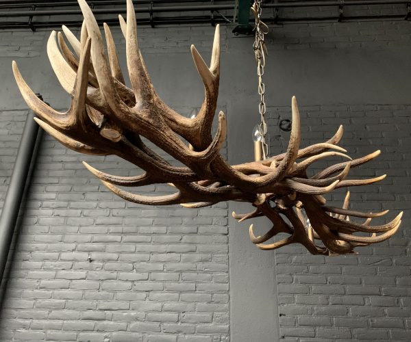 Elongated antler lamp made of red deer antlers