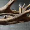 Elongated antler lamp made of red deer antlers