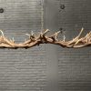 Elongated antler lamp made of red deer antlers