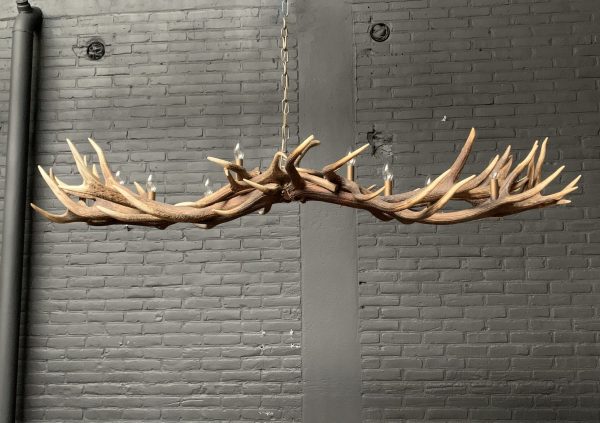 Elongated antler lamp made of red deer antlers