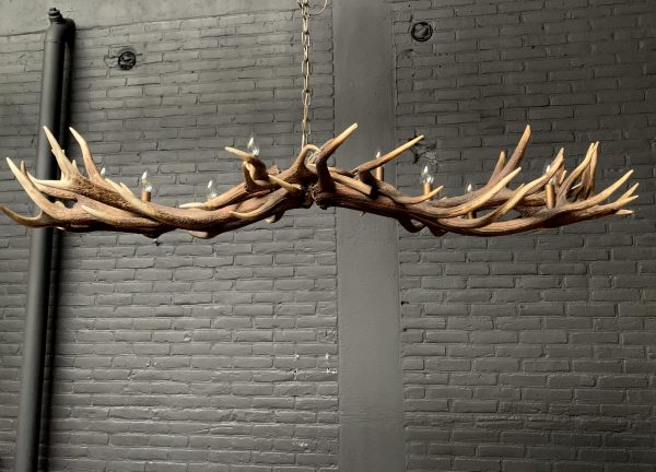 Elongated antler lamp made of red deer antlers