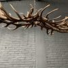 Elongated antler lamp made of red deer antlers