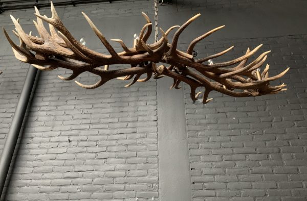 Elongated antler lamp made of red deer antlers