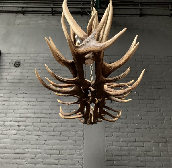 Elongated antler lamp made of red deer antlers