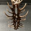 Elongated antler lamp made of red deer antlers