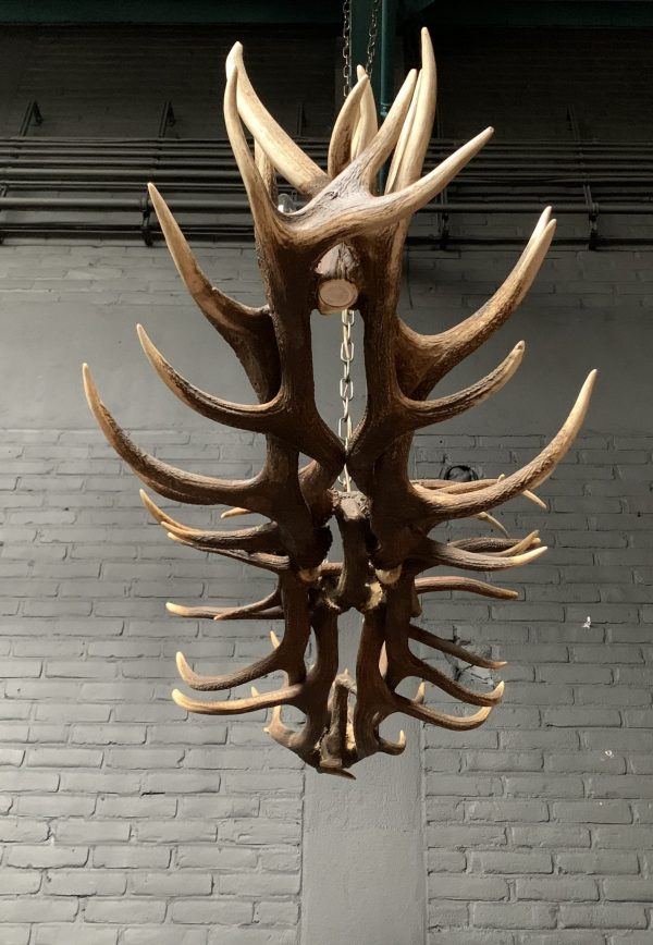 Elongated antler lamp made of red deer antlers