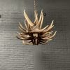 Elongated antler lamp made of red deer antlers