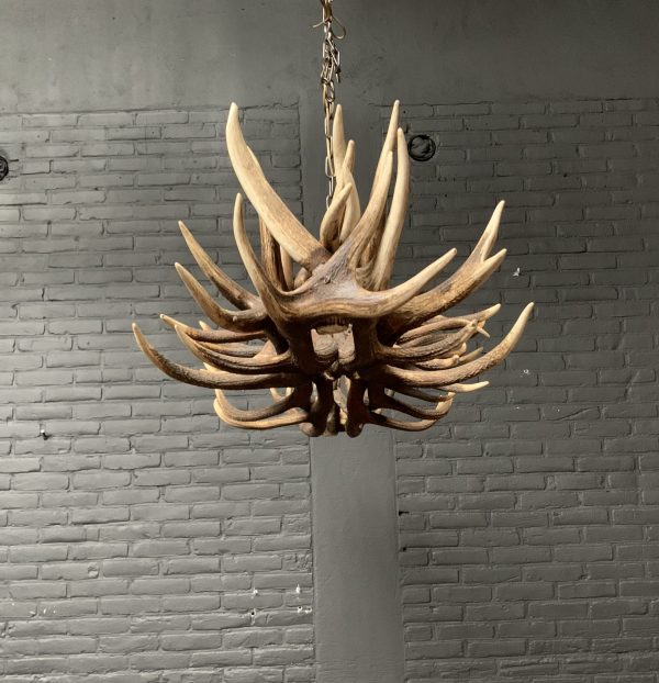 Elongated antler lamp made of red deer antlers