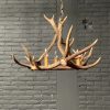 Hanging lamp of antlers