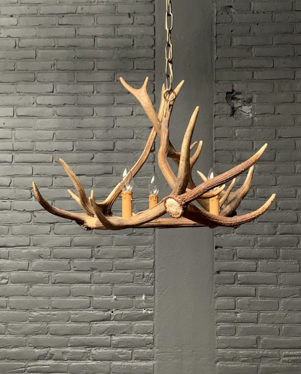 Hanging lamp of antlers