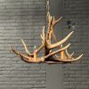 Hanging lamp of antlers