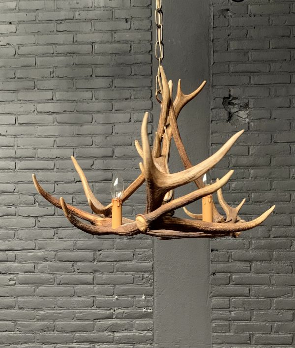 Hanging lamp of antlers