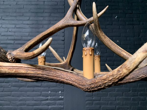 Hanging lamp of antlers