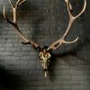 Metalized antlers from a red deer (example)