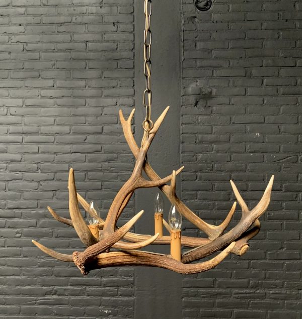 Hanging lamp of antlers