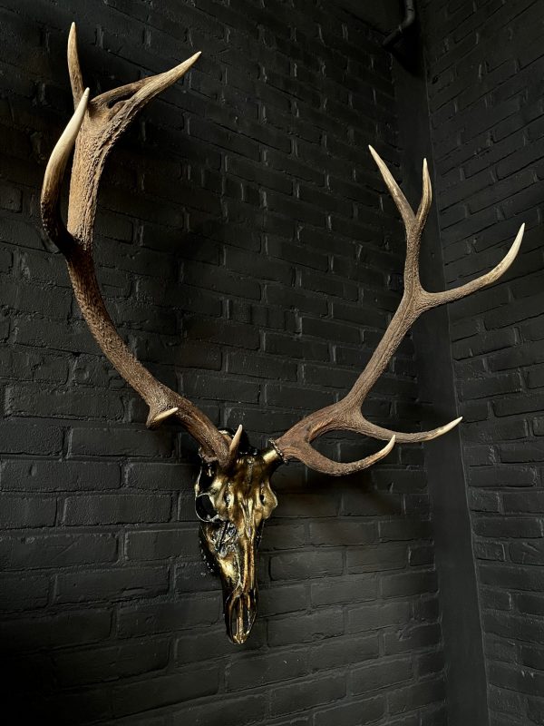 Metalized antlers from a red deer (example)