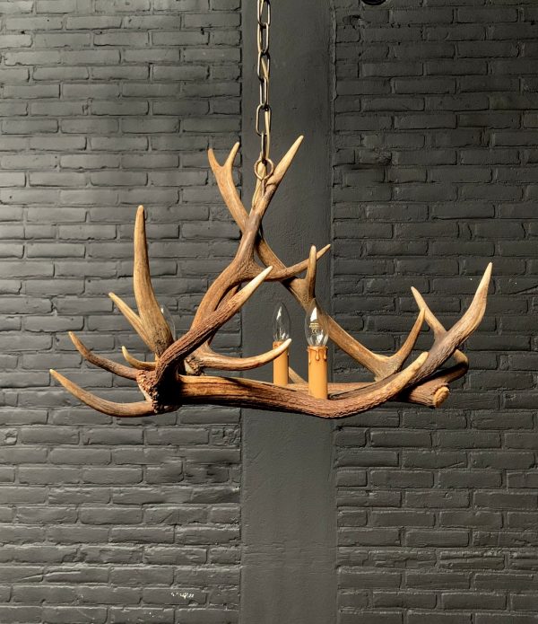 Hanging lamp of antlers