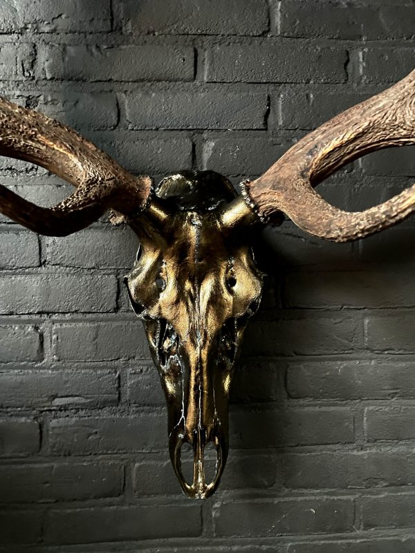 Metalized antlers from a red deer (example)