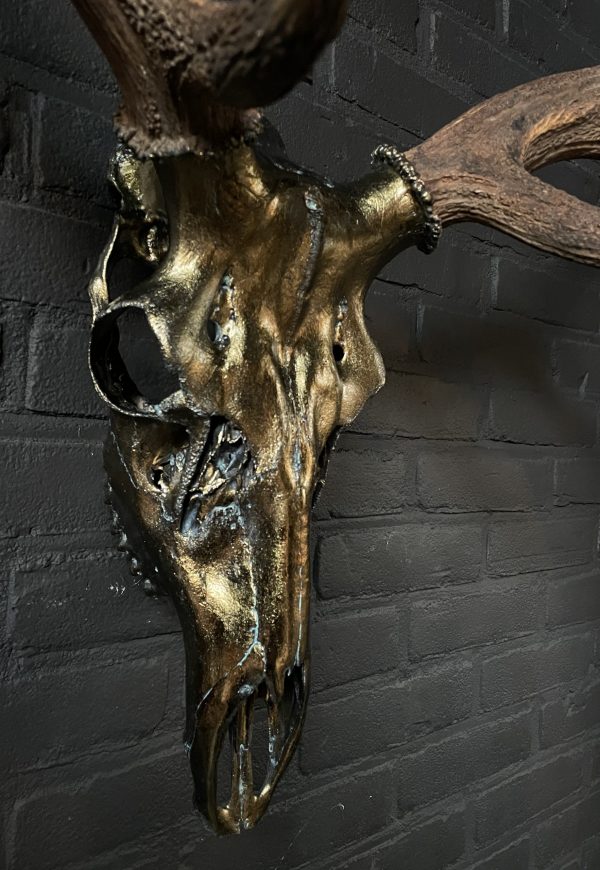 Metalized antlers from a red deer (example)