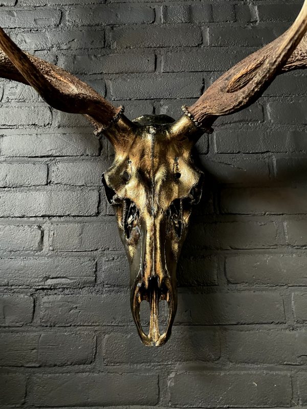 Metalized antlers from a red deer (example)