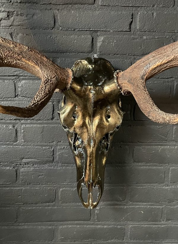 Metalized antlers from a red deer (example)