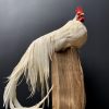 Taxidermy Onagadore rooster