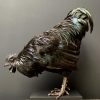 Taxidermy black rooster