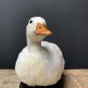 Stuffed white duck