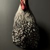 Taxidermy chicken head