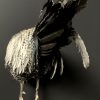 Beautiful taxidermy Onagadorie rooster