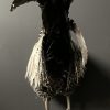 Taxidermie halve haan