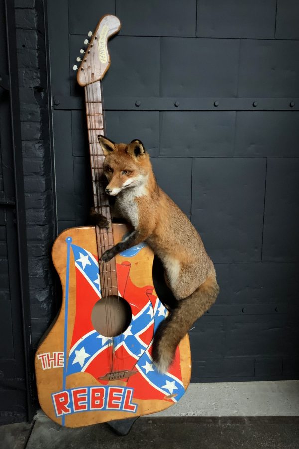 Taxidermy musical fox