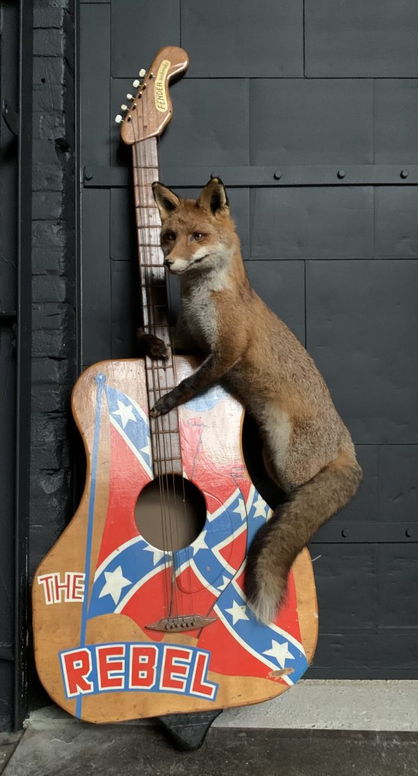 Taxidermy musical fox