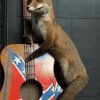 Taxidermy musical fox