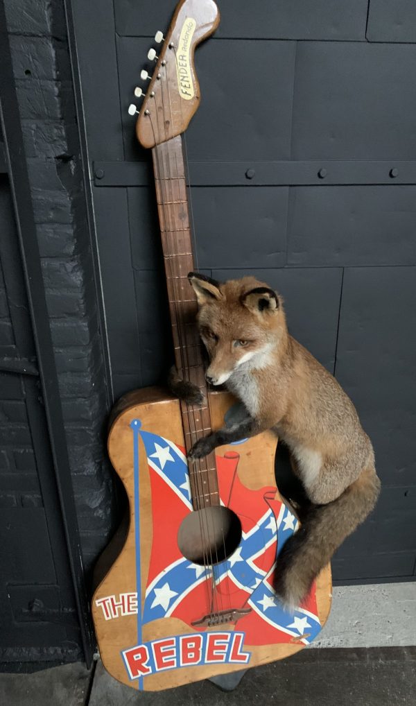 Taxidermy musical fox