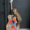 Taxidermy musical fox