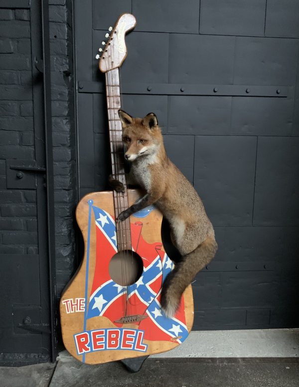 Taxidermy musical fox