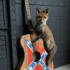Taxidermy musical fox
