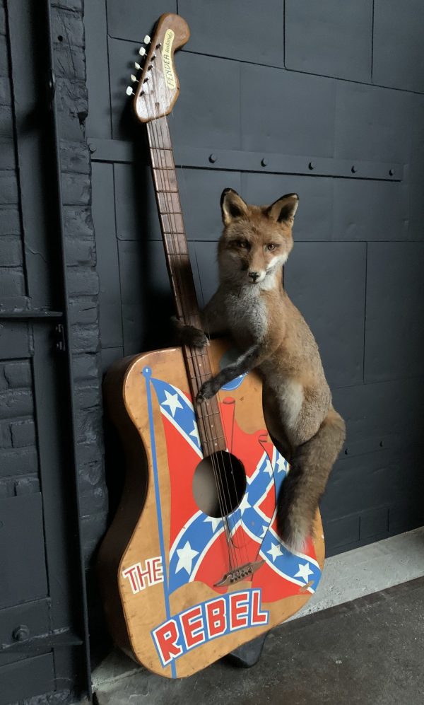 Taxidermy musical fox