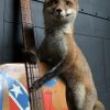 Taxidermy musical fox