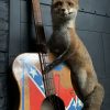 Taxidermy musical fox