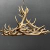 Round antler chandelier of red deer antlers