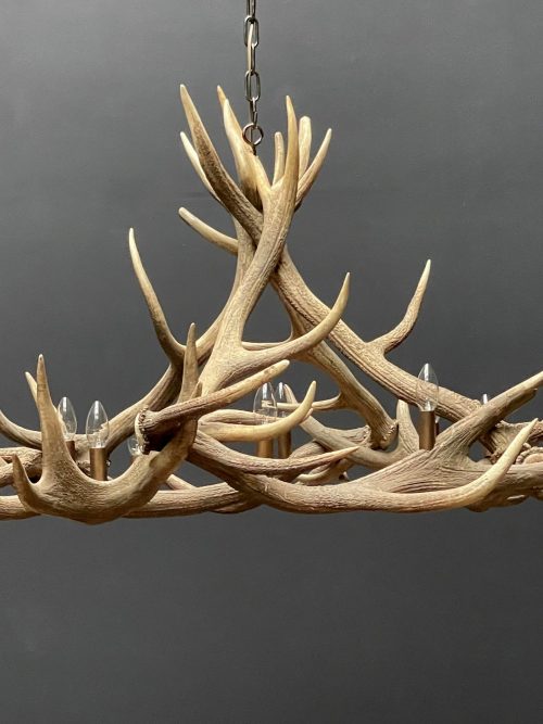 Round antler chandelier of red deer antlers