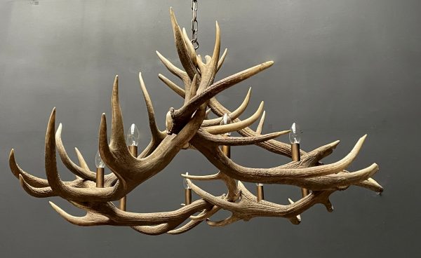 Round antler chandelier of red deer antlers