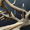 Round antler chandelier of red deer antlers