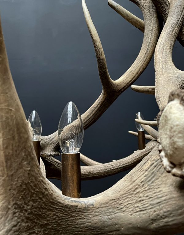 Round antler chandelier of red deer antlers