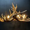 Round antler chandelier of red deer antlers