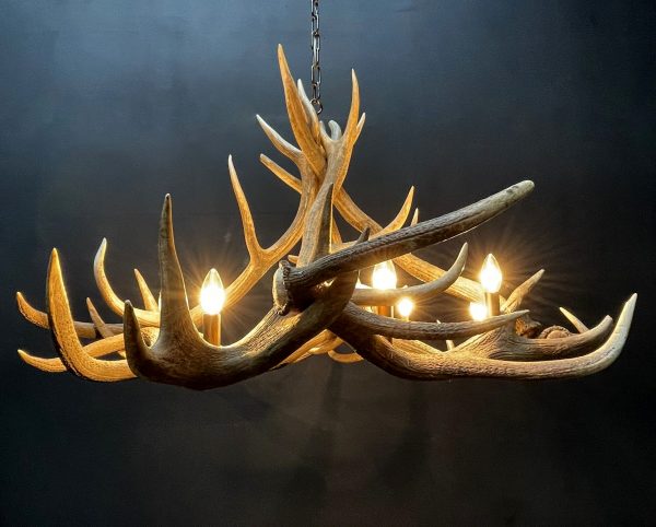 Round antler chandelier of red deer antlers